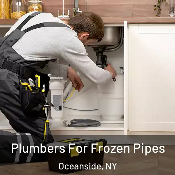  Plumbers For Frozen Pipes Oceanside, NY