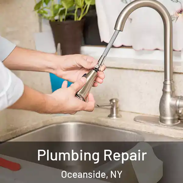  Plumbing Repair Oceanside, NY